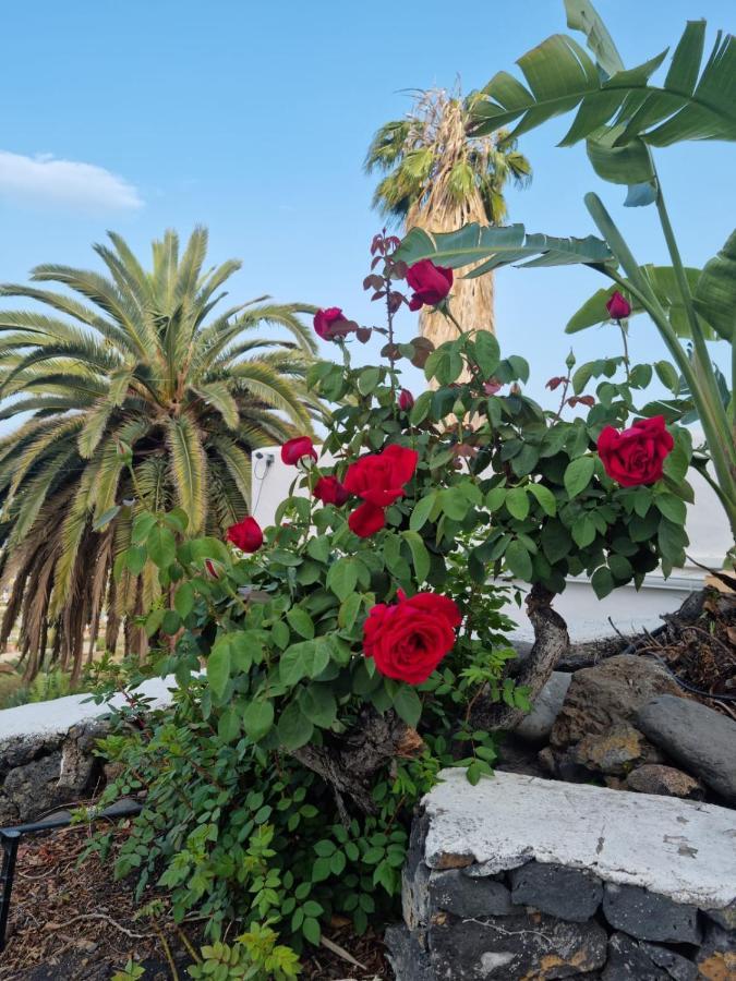 Rural Jardines La Quinta Villa Ел Пасо Екстериор снимка