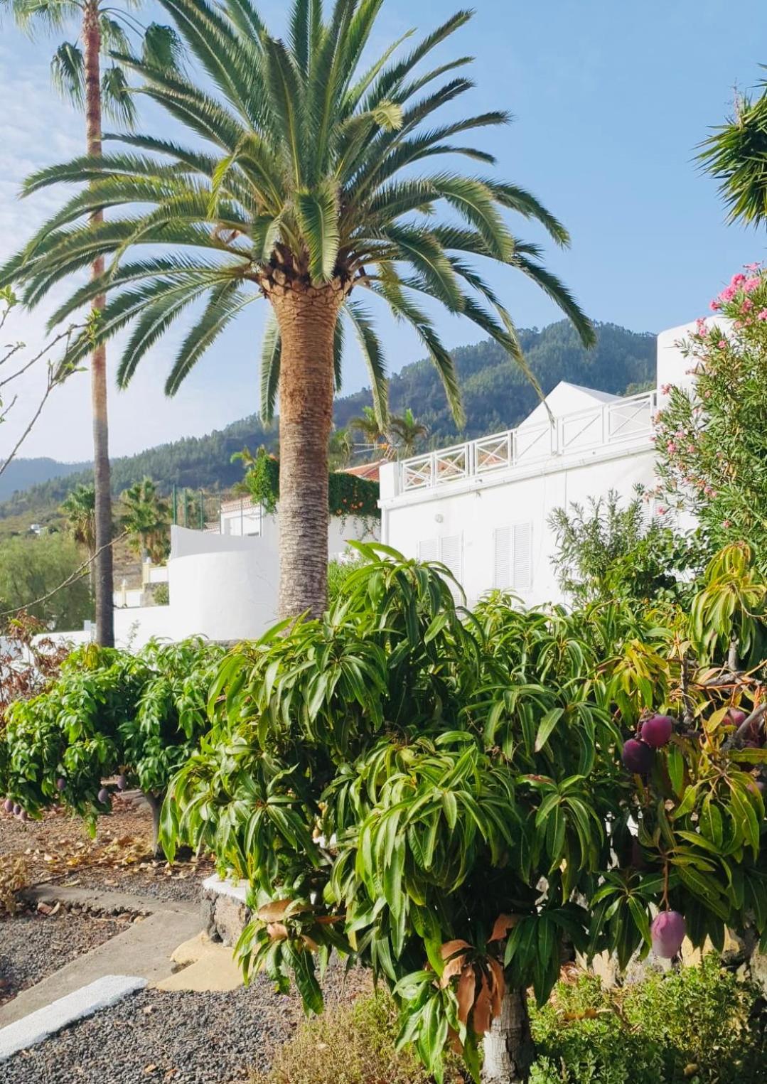 Rural Jardines La Quinta Villa Ел Пасо Екстериор снимка